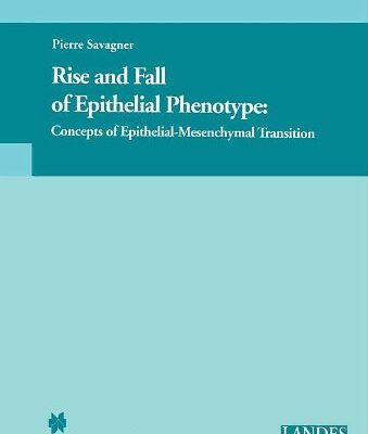 Rise and Fall of Epithelial Phenotype: Concepts of Epithelial-Mesenchymal Transition (Molecular Biology Intelligence Unit)