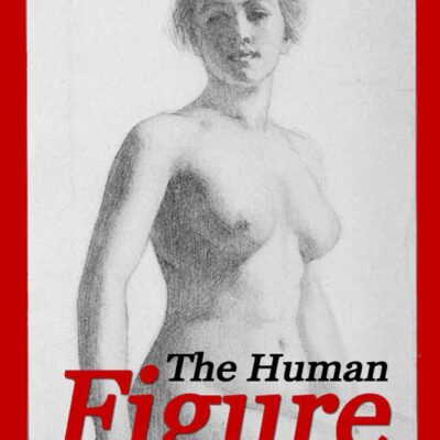 The Human Figure