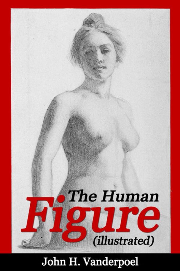 The Human Figure
