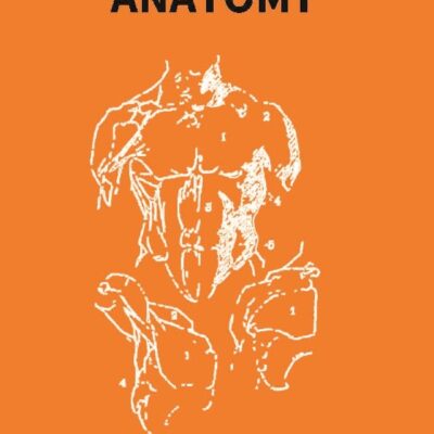 Constructive Anatomy