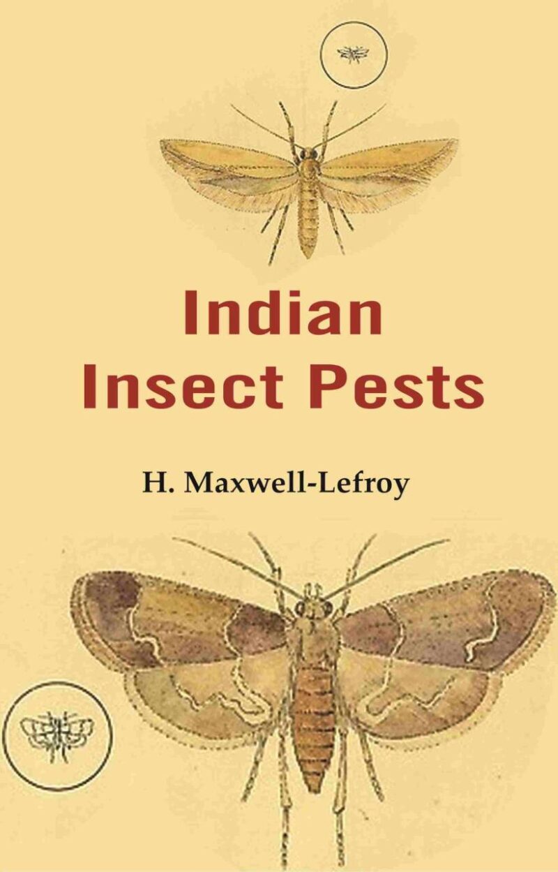 Indian Insect Pests