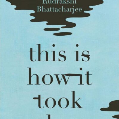This Is How It Took Place: Stories
