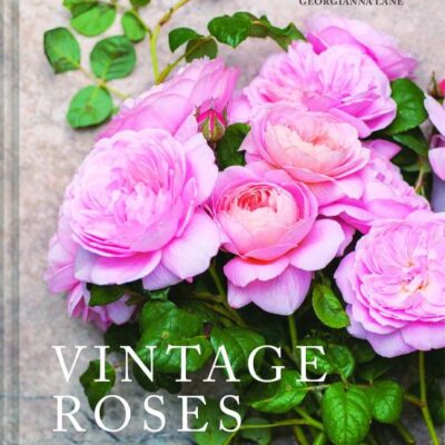 Vintage Roses