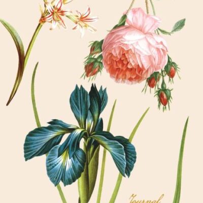 Redout»'S Fabulous Flowers Journal