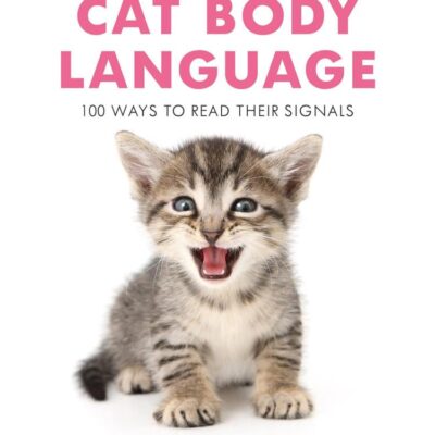 Cat Body Language