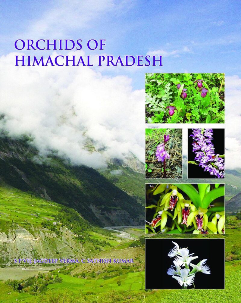 Orchids of Himachal Pradesh