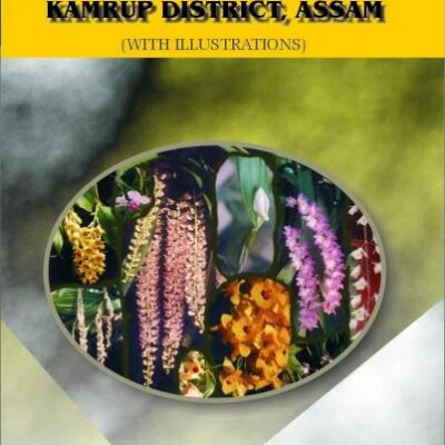 Orchid Flora of Kamrup District Assam ; With Illustrations