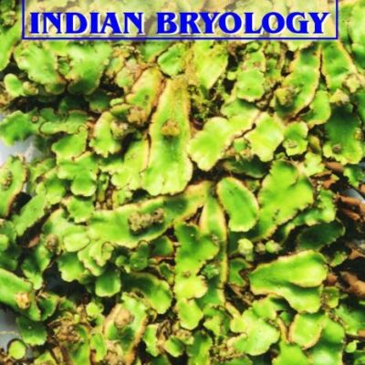 Perspectives in Indian bryology: Proceedings