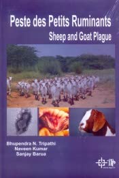 Peste Des Petits Ruminants Sheep and Goat Plague