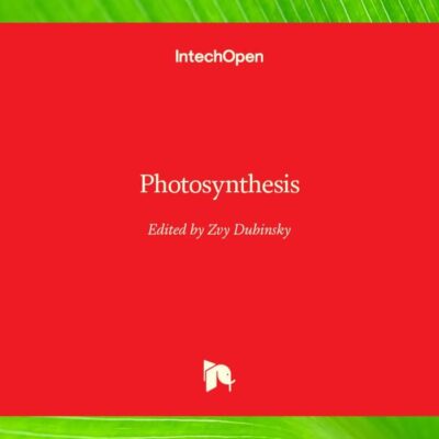Photosynthesis
