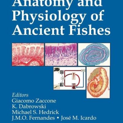 Phylogeny