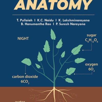 Plant Anatomy