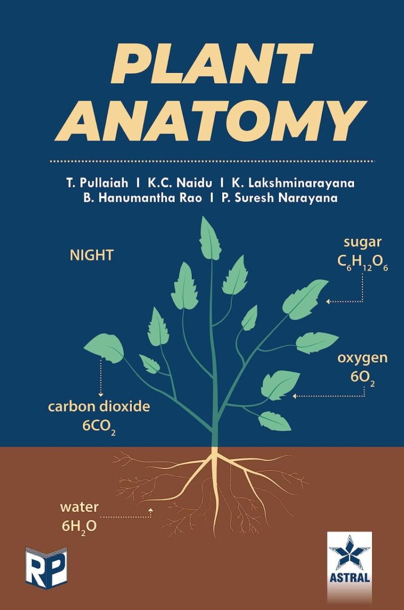 Plant Anatomy