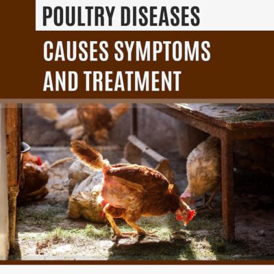 Poultry Diseases: Causes Symptoms and Treatment
