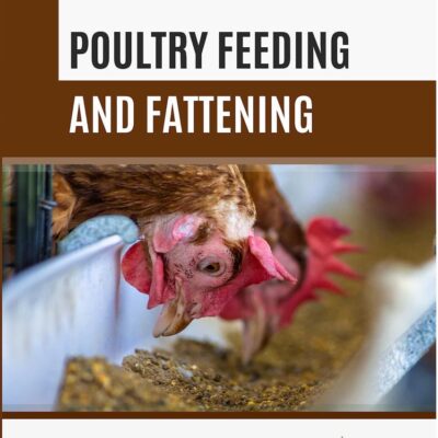Poultry Feeding and Fattening