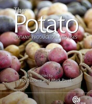 POTATO : BOTANY