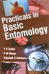 Practicals in Basic Entomology