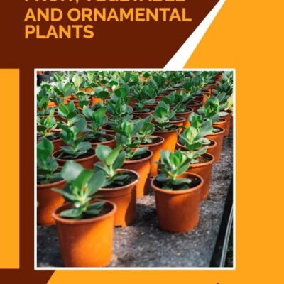 Propagation of Fruit