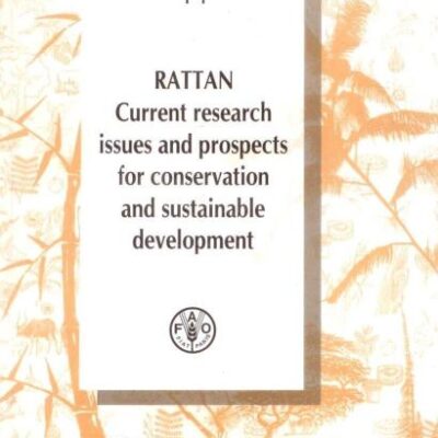 Rattan: Current Research Issues and Prospects for Conservation and Sustainable Development: Current Research Issues and Prospects for Conservation and ... (Non-Wood Forest Products 14) (Reprint)