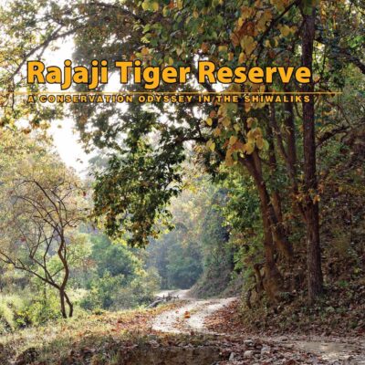 Rajaji Tiger Reserve: A Conservation Odyssey in the Shiwliks