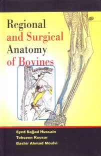 Regional and Surgical Anatomy of Bovines