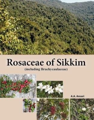 Rosaceae of Sikkim (including Brachycaulaceae)
