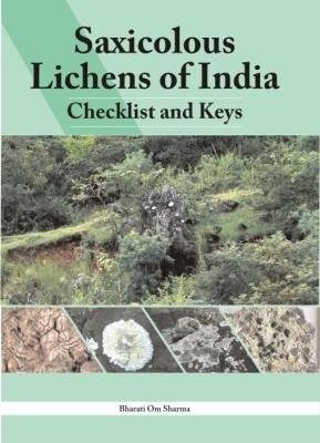Saxicolous Lichens of India