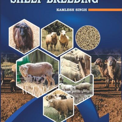 Sheep Breeding