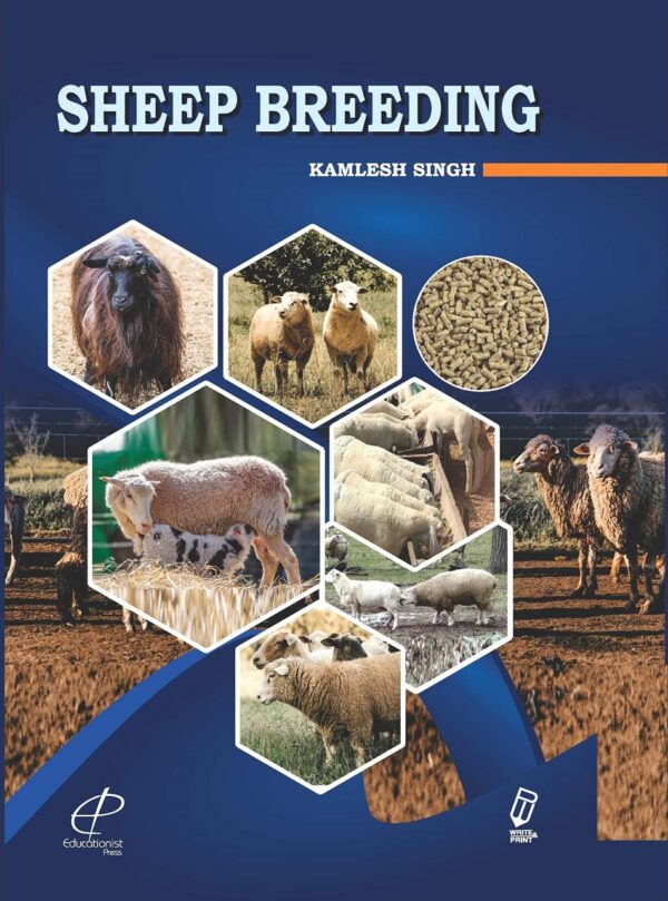 Sheep Breeding