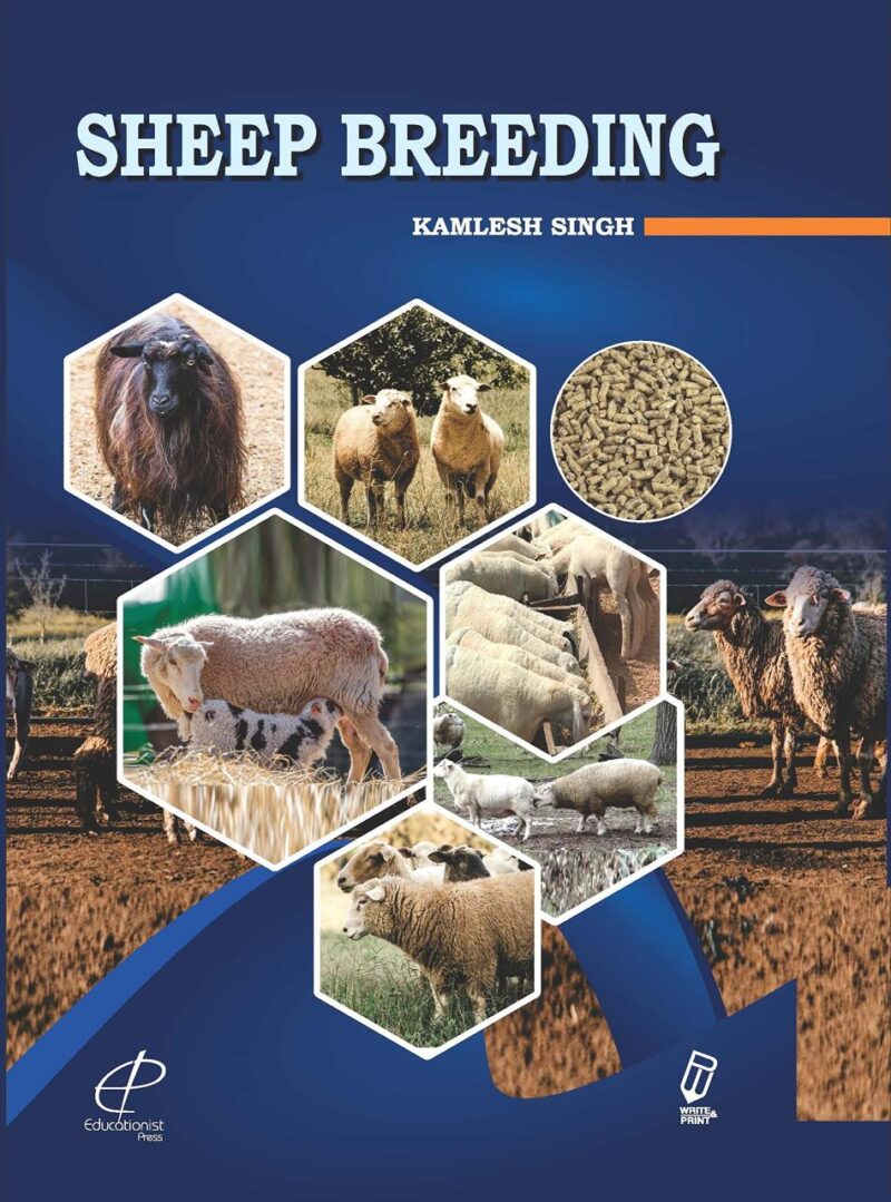 Sheep Breeding