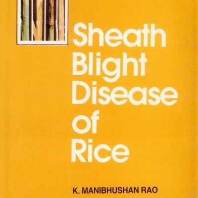 Sheath Blight Disease of Rice