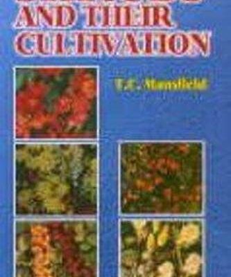 Shrubs and Their Cultivation