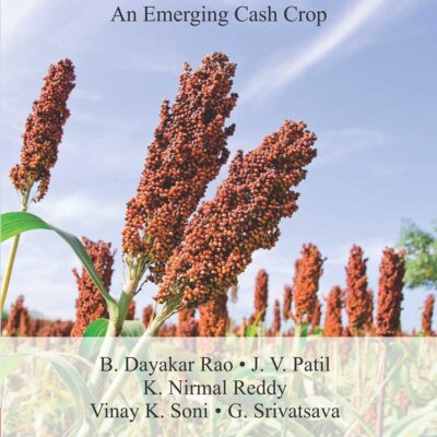 SORGHUM AM EMERGING CASH CROP: An Emerging Cash Crop