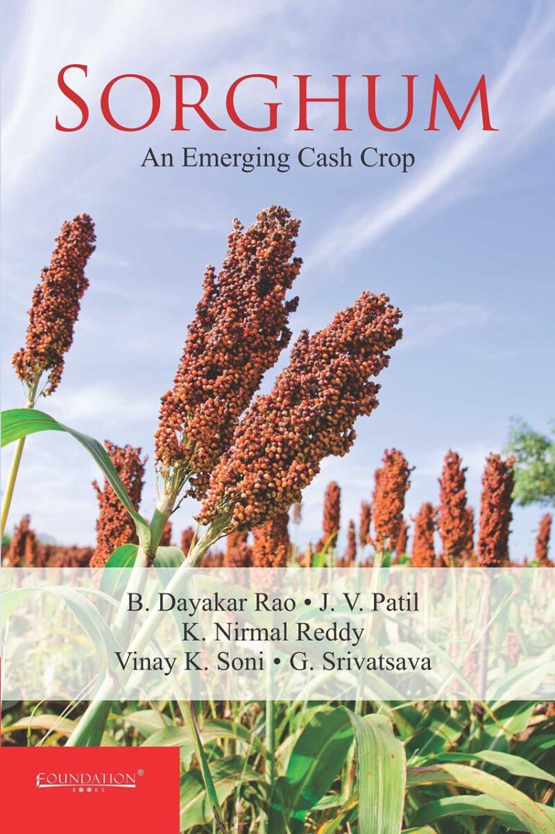 SORGHUM AM EMERGING CASH CROP: An Emerging Cash Crop