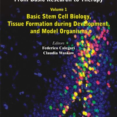 Stem Cells: From Basic Research to Therapy