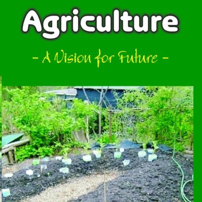 Sustainable Agriculture: A Vision for Future