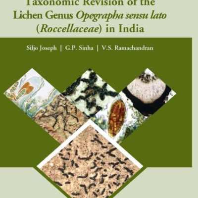 Taxonomic Revision of the Lichen Genus Opegrapha Sensu Lato Roccellaceae in India