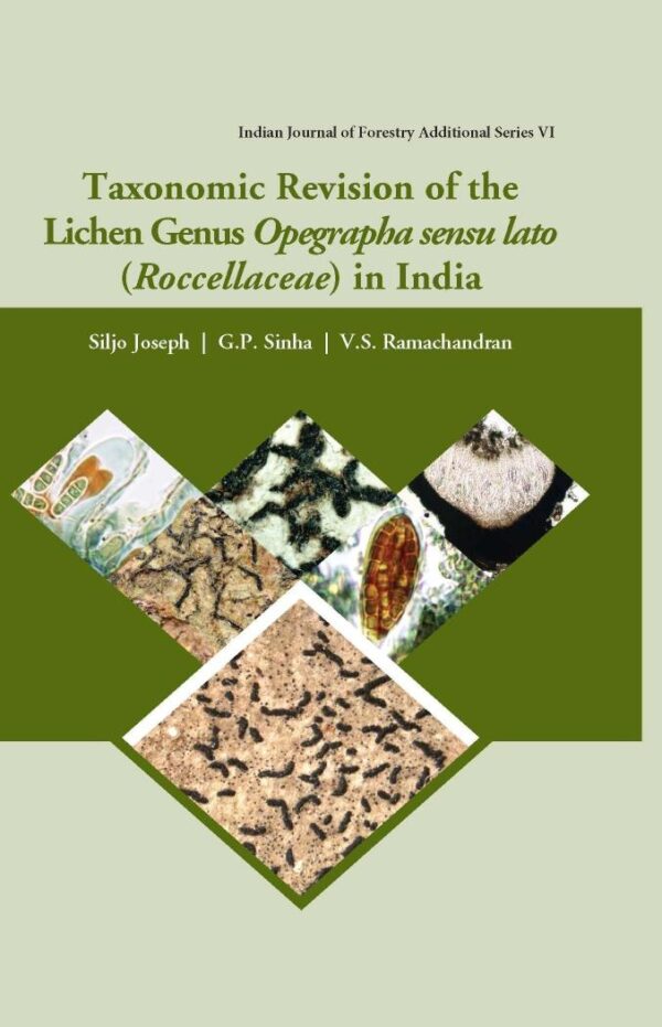 Taxonomic Revision of the Lichen Genus Opegrapha Sensu Lato Roccellaceae in India