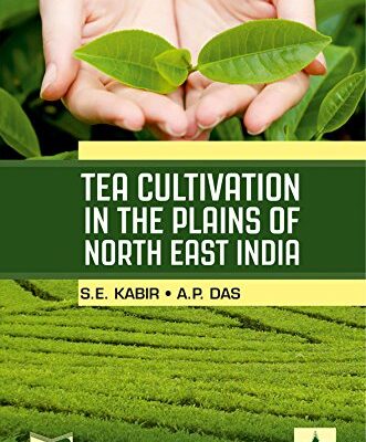 Tea Cultivation in the Plains of North East India