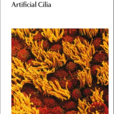 Artificial Cilia: Volume 30 (Nanoscience & Nanotechnology Series)