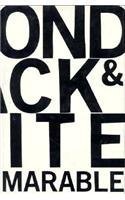 Beyond Black and White: From Civil Rights to Barack Obama