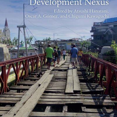 Crisis Management Beyond the Humanitarian Development Nexus