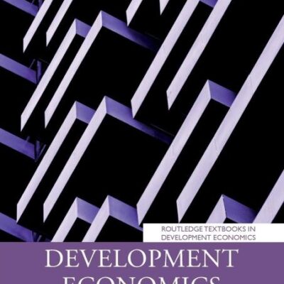 Development Economics: A Critical Introduction (Routledge Textbooks in Development Economics)