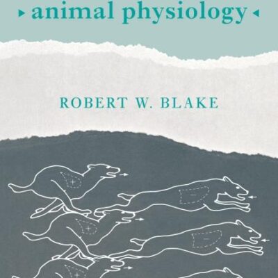 Efficiency and Economy in Animal Physiology