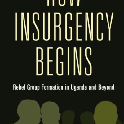 How Insurgency Begins: Rebel Group Formation in Uganda and Beyond (Cambridge Studies in Comparative Politics)