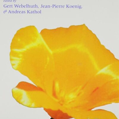 Lexical and Constructional Aspects of Linguistic Explanation (Studies in Constraint-Based Lexicalism)