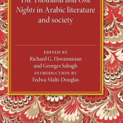 The Thousand and One Night in Arabic Literature and Society: 12 (Levi Della Vida Symposia)