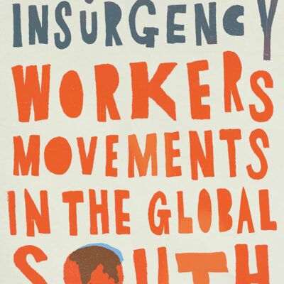 Organizing Insurgency: Workers' Movements in the Global South (Wildcat)