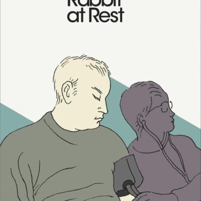 Rabbit at Rest (Penguin Modern Classics)