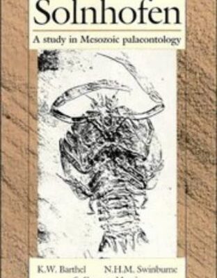 Solnhofen: A Study in Mesozoic Palaeontology